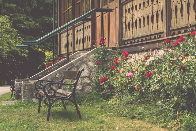 特视角或方 特视角或方