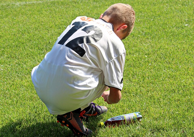新秀的崛起 新秀的崛起