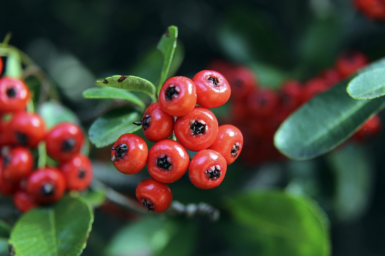 一次精准的 一次精准的