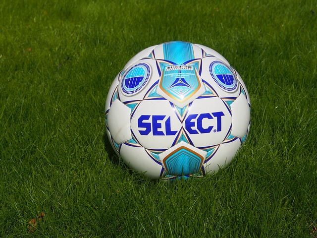 她們的組合 她們的組合